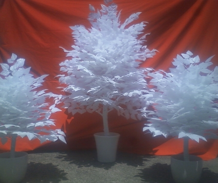 クラフツ白い木サンプル08